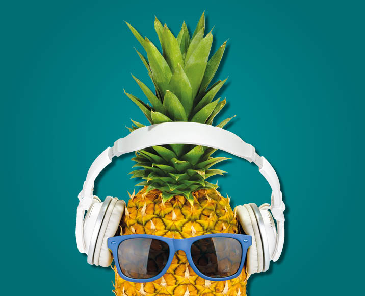 Cap sur la Côte d’Opale