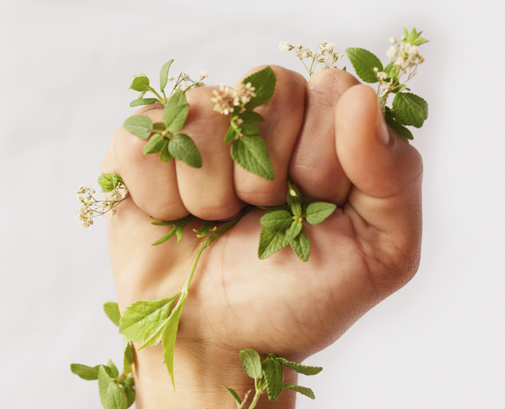 Parce que nous sommes tous concernés par l’environnement…