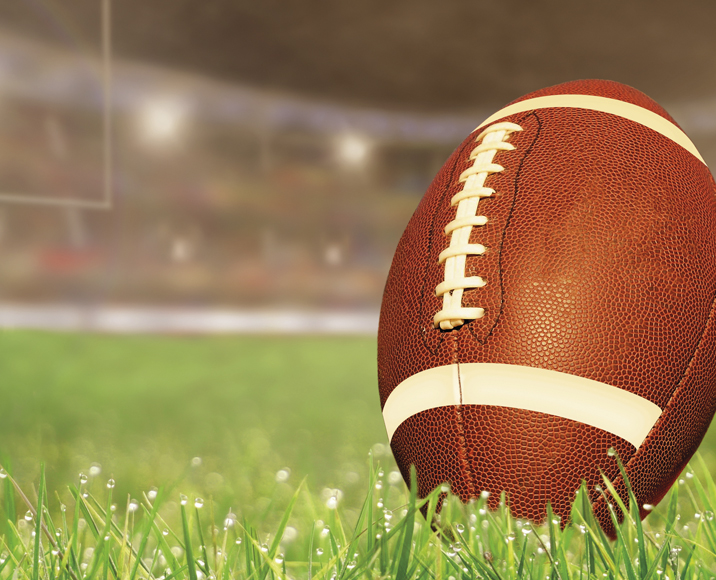 Suivez la Coupe du Monde de Rugby avec le calendrier des matchs Square Habitat !