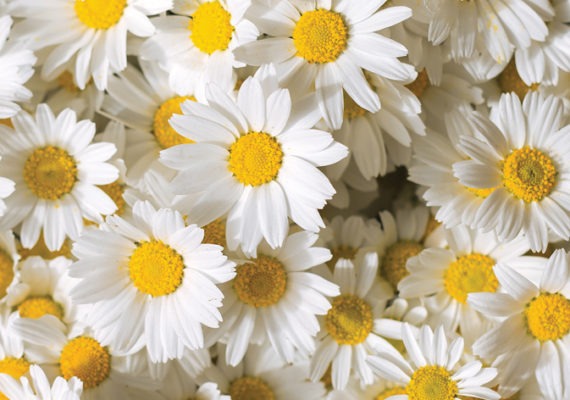 Vendez et profitez de notre offre de printemps