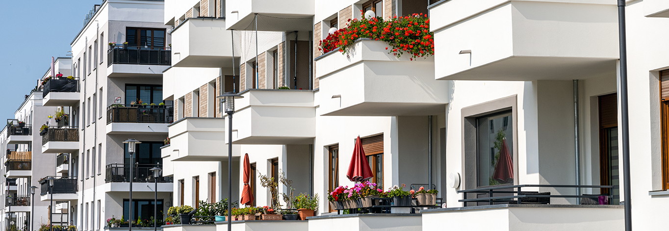Comment créer son propre potager sur son balcon ?