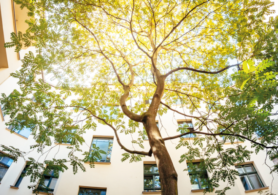Grâce à notre offre “Sérénité Copro”, soyez zen dans la gestion de votre copropriété !