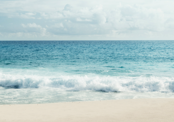 Pour vos vacances en bord de mer, profitez de notre savoir-faire !