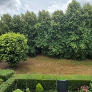 Location appartement à Marly