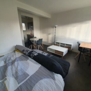 Location appartement à Lille