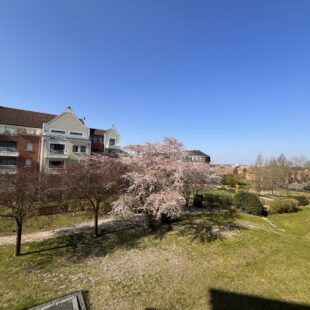 Location appartement à Marcq-En-Barœul