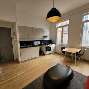 Location appartement meublé à Lille