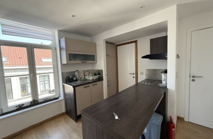 Location appartement meublé à Lille