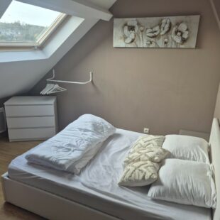 Location maison meublé à Saint-Étienne-Au-Mont