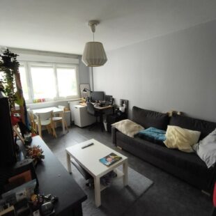Location appartement meublé à Lille