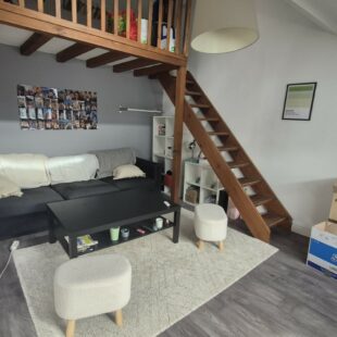 Location appartement meublé à Lille