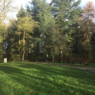 Location appartement meublé à Arques