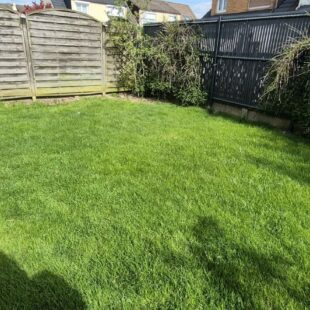 Location maison à Thumeries