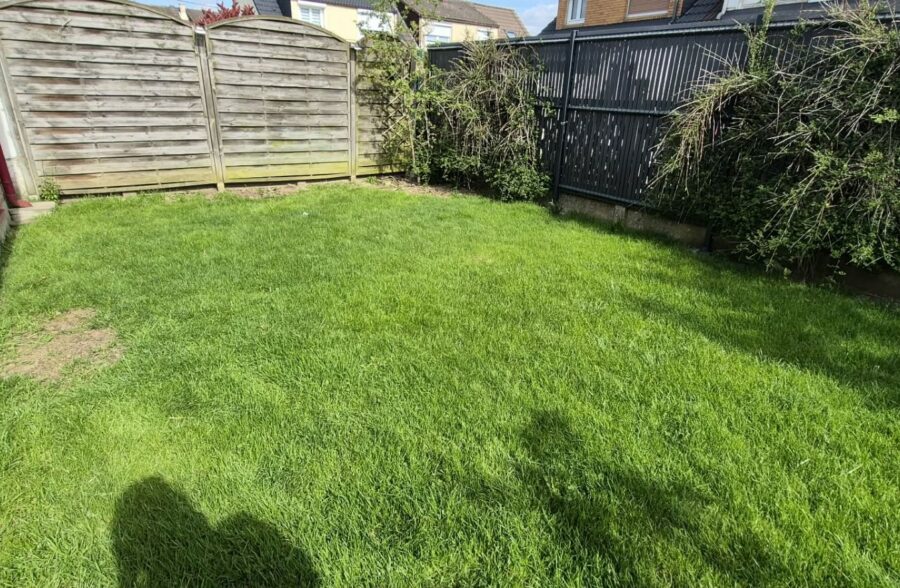 Location maison à Thumeries