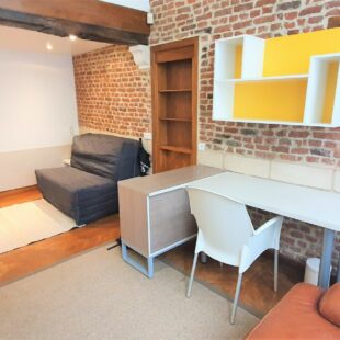 Location appartement meublé à Lille