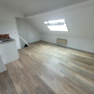 Location appartement à Lille