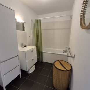 Location appartement meublé à Lille