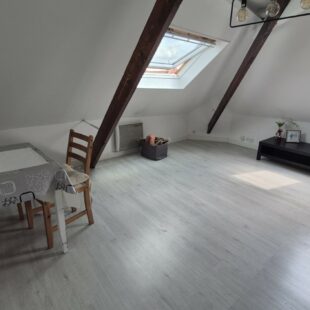 Location appartement meublé à Lille