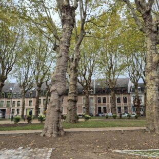 Location appartement à Arras