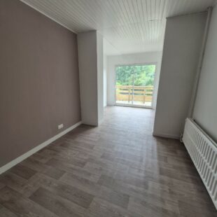 Location maison à Faches-Thumesnil
