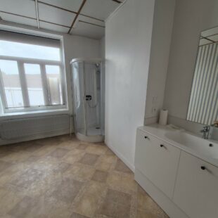 Location maison à Faches-Thumesnil