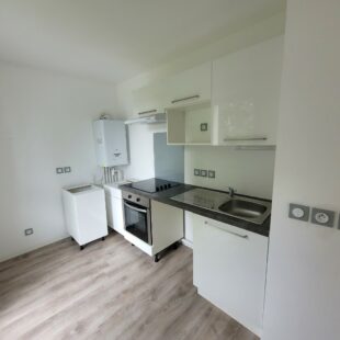 Location appartement à Loos