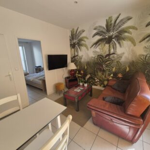 Location appartement meublé à Loos