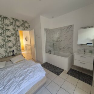 Location appartement meublé à Loos