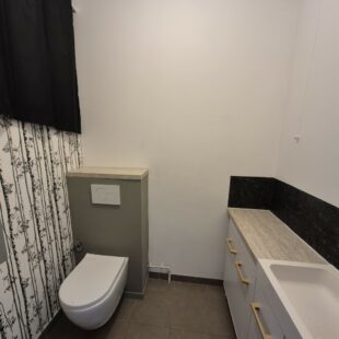 Location maison à Lille