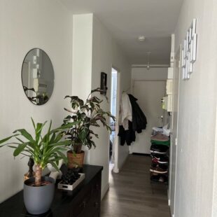 Location appartement à Lille