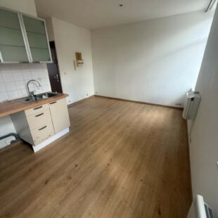 Location appartement à Faches-Thumesnil