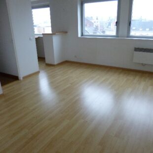 Location appartement à Lille