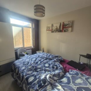 Location appartement meublé à Lille