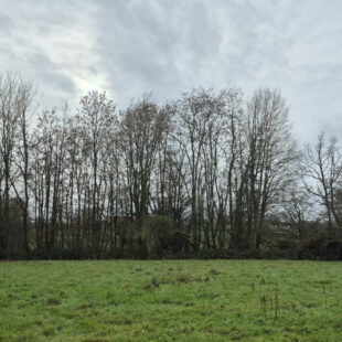 Terrain Bousies 3000 m2