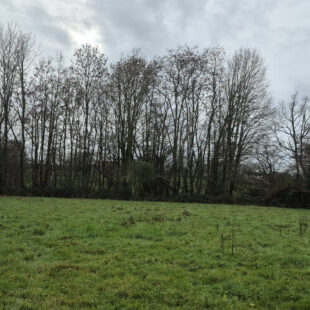 Terrain Bousies 3000 m2