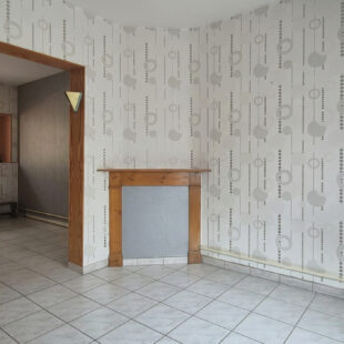 Maison rénovée avec jardin et garage