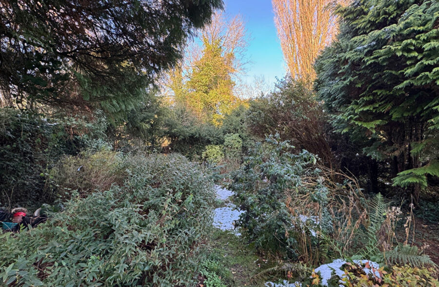 Maison Villeneuve-d’ascq semi-individuelle &nbsp;Sous compromis&nbsp;