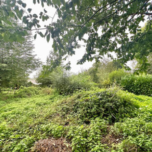 Maison Le Cateau Cambresis 12 pièce(s) 609 m2