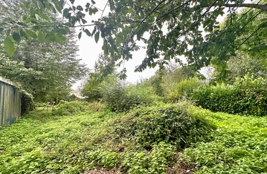 Maison Le Cateau Cambresis 12 pièce(s) 609 m2