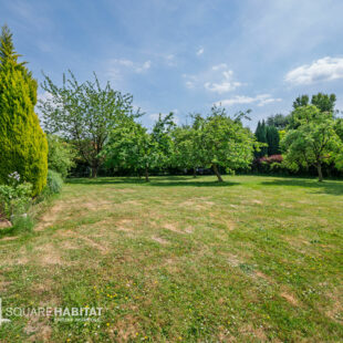 Villa de semi plain-pied – 5 chambres et bureau – 2000m² de parcelle