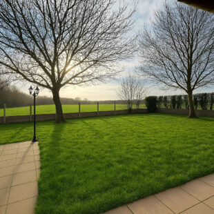 Maison Morbecque 5 pièce(s)