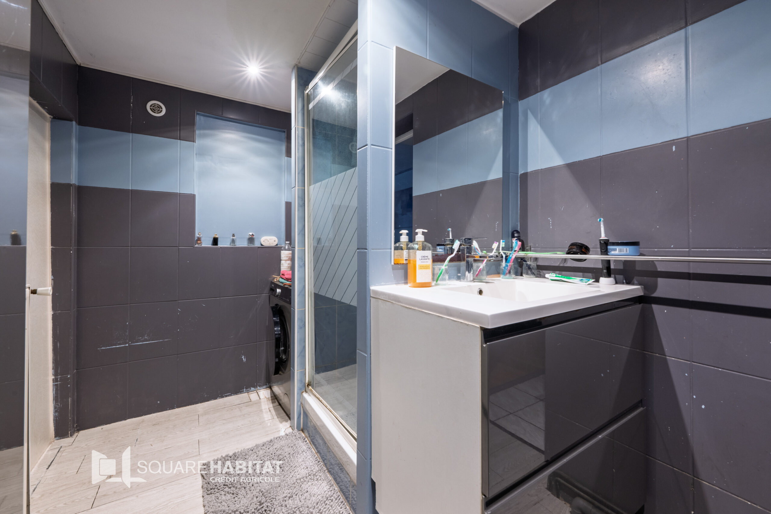 Maison Hellemmes-lille   Jardin