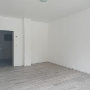 Ensemble immobilier de 2 maisons