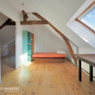 Immeuble de rapport de 253m² à Clary – Commerce & Habitation !