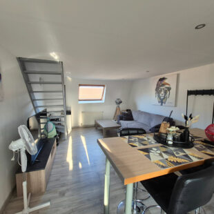 Appartement T2 39 m² hab (51.50 m² utiles)