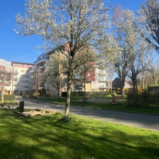 Superbe T4 avec 2 balcons et un grand garage