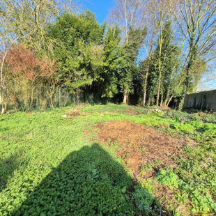 TERRAIN À BÂTIR ESQUERCHIN 477m²