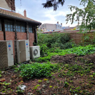 Local commercial 386 m²