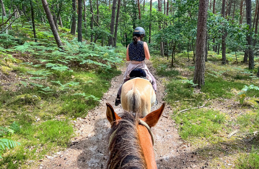 Quend-Plage-les-pins , parcelle de terrain à bâtir de 1150 m2 .