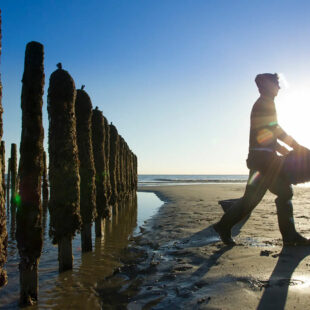 Quend-Plage-les-pins , parcelle de terrain à batir de  570 m2 .